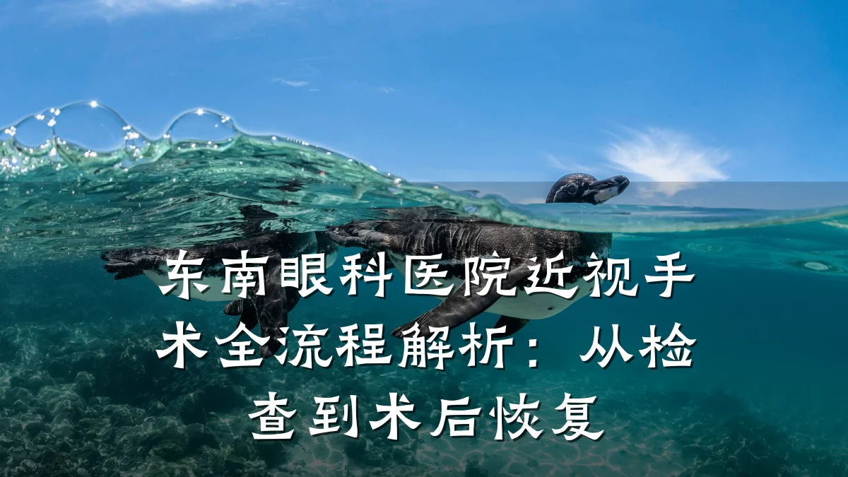 东南眼科医院近视手术全流程解析:从检查到术后恢复