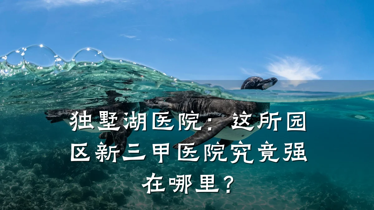 独墅湖医院:这所园区新三甲医院究竟强在哪里?