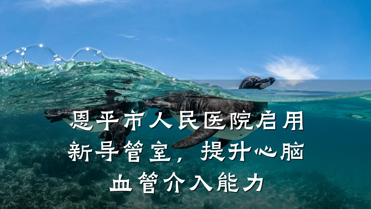 恩平市人民医院启用新导管室，提升心脑血管介入能力