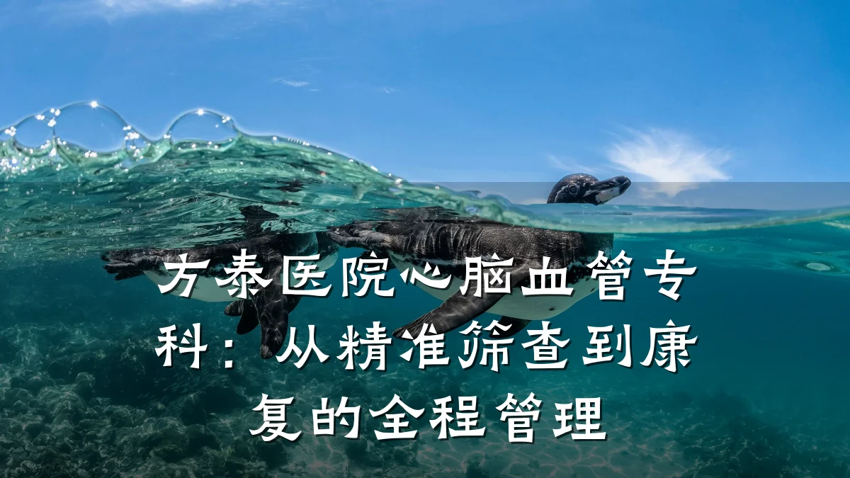 方泰医院心脑血管专科：从精准筛查到康复的全程管理