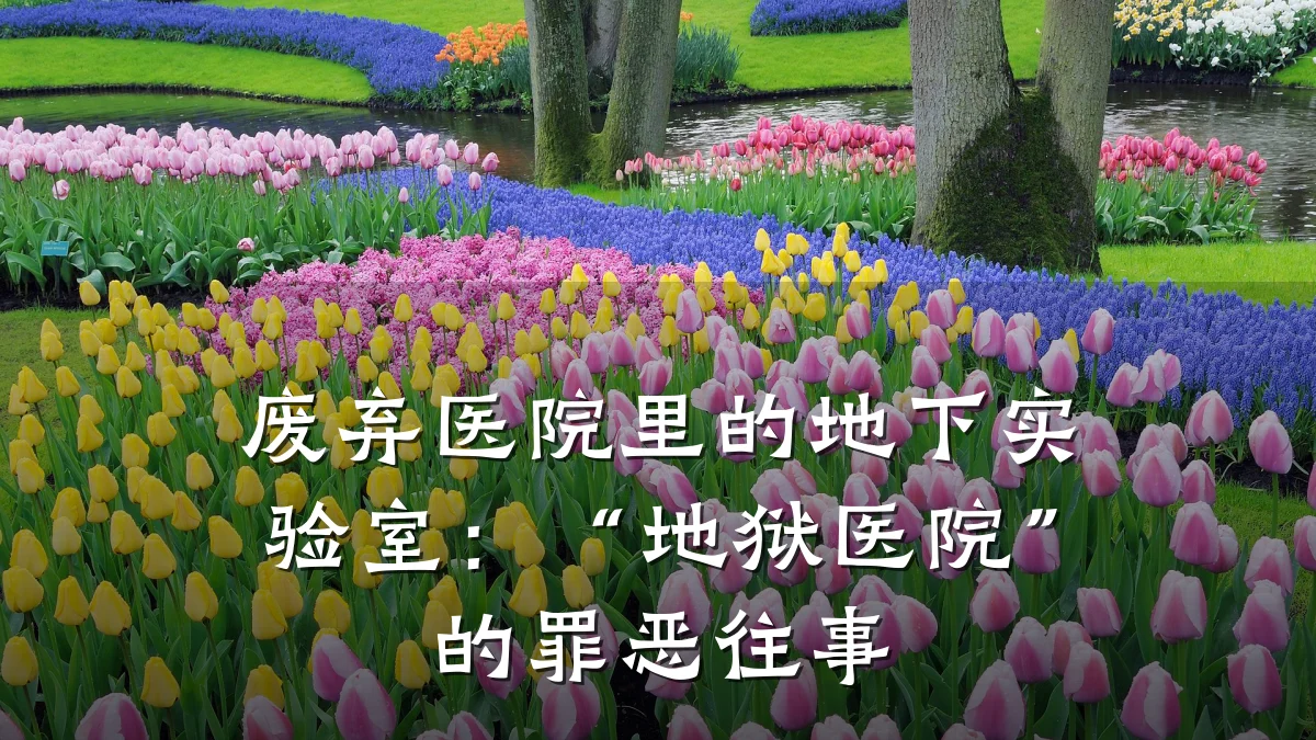 废弃医院里的地下实验室:“地狱医院”的罪恶往事