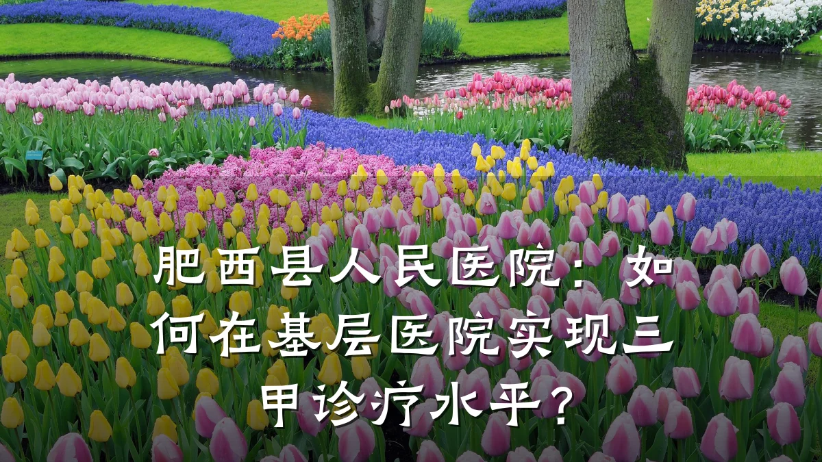 肥西县人民医院:如何在基层医院实现三甲诊疗水平?