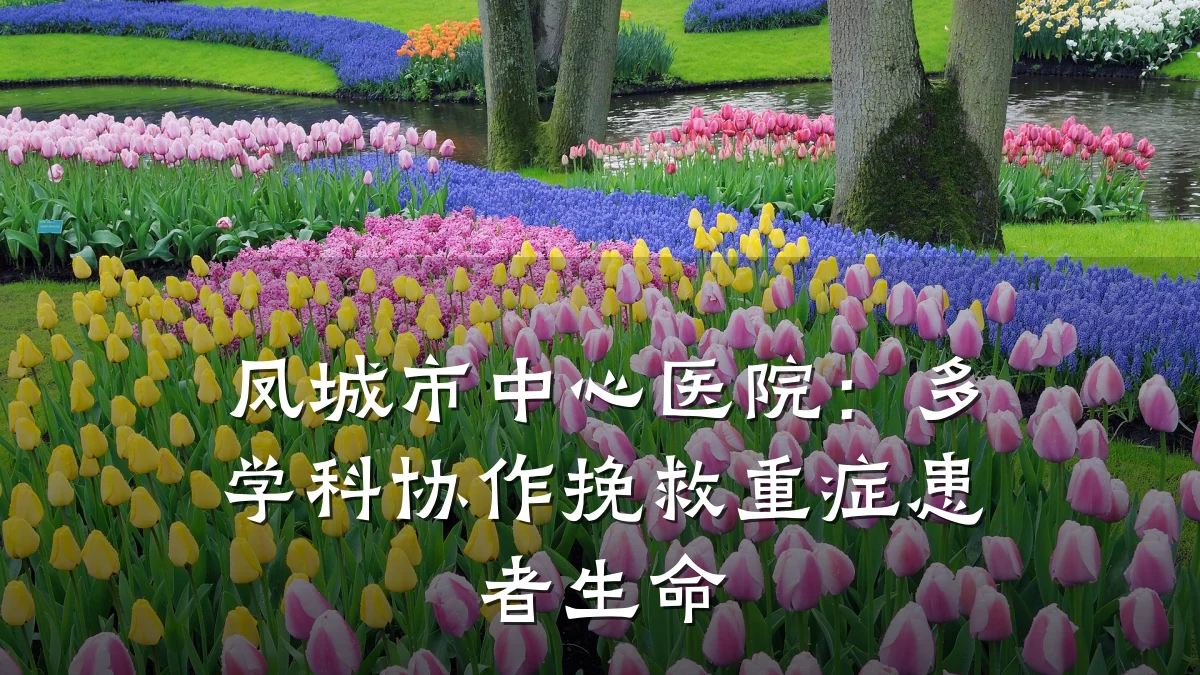 凤城市中心医院:多学科协作挽救重症患者生命