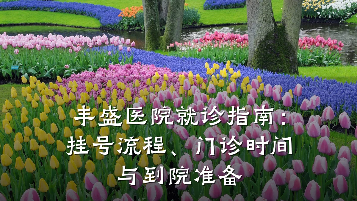 丰盛医院就诊指南:挂号流程、门诊时间与到院准备