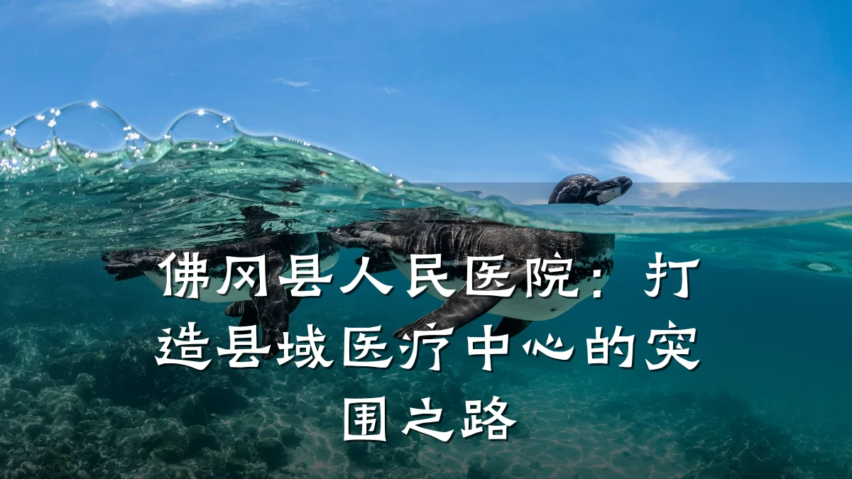 佛冈县人民医院:打造县域医疗中心的突围之路