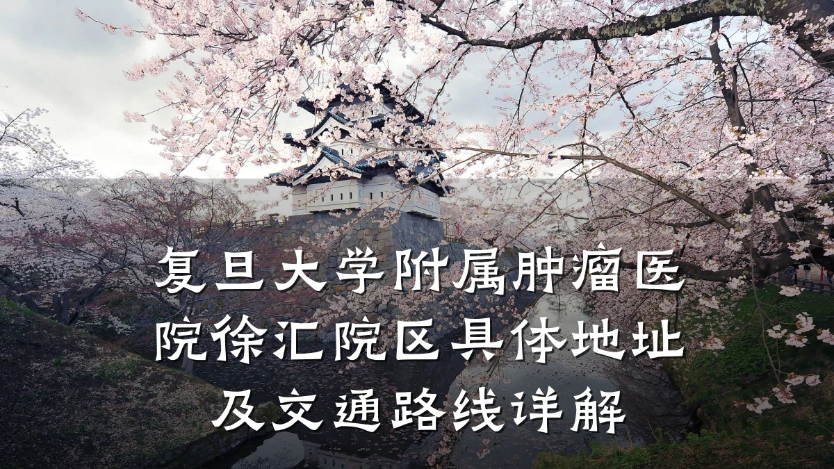 复旦大学附属肿瘤医院徐汇院区具体地址及交通路线详解