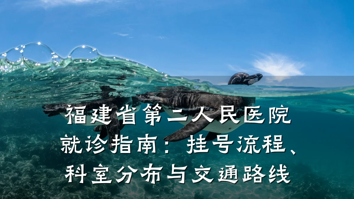 福建省第二人民医院就诊指南:挂号流程、科室分布与交通路线