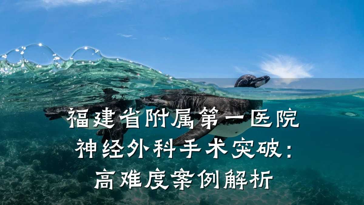 福建省附属第一医院神经外科手术突破:高难度案例解析