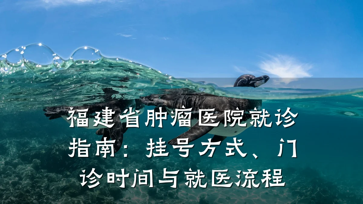 福建省肿瘤医院就诊指南：挂号方式、门诊时间与就医流程