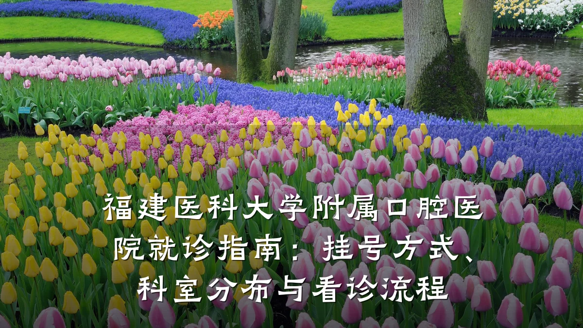 福建医科大学附属口腔医院就诊指南:挂号方式、科室分布与看诊流程