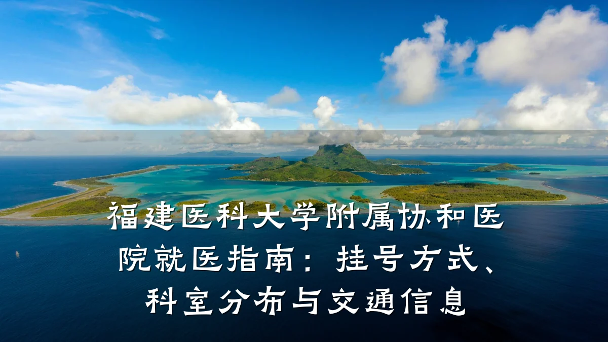 福建医科大学附属协和医院就医指南:挂号方式、科室分布与交通信息