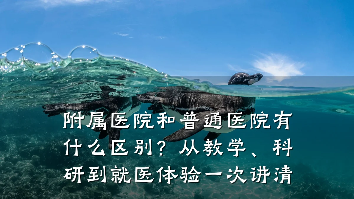 附属医院和普通医院有什么区别?从教学、科研到就医体验一次讲清