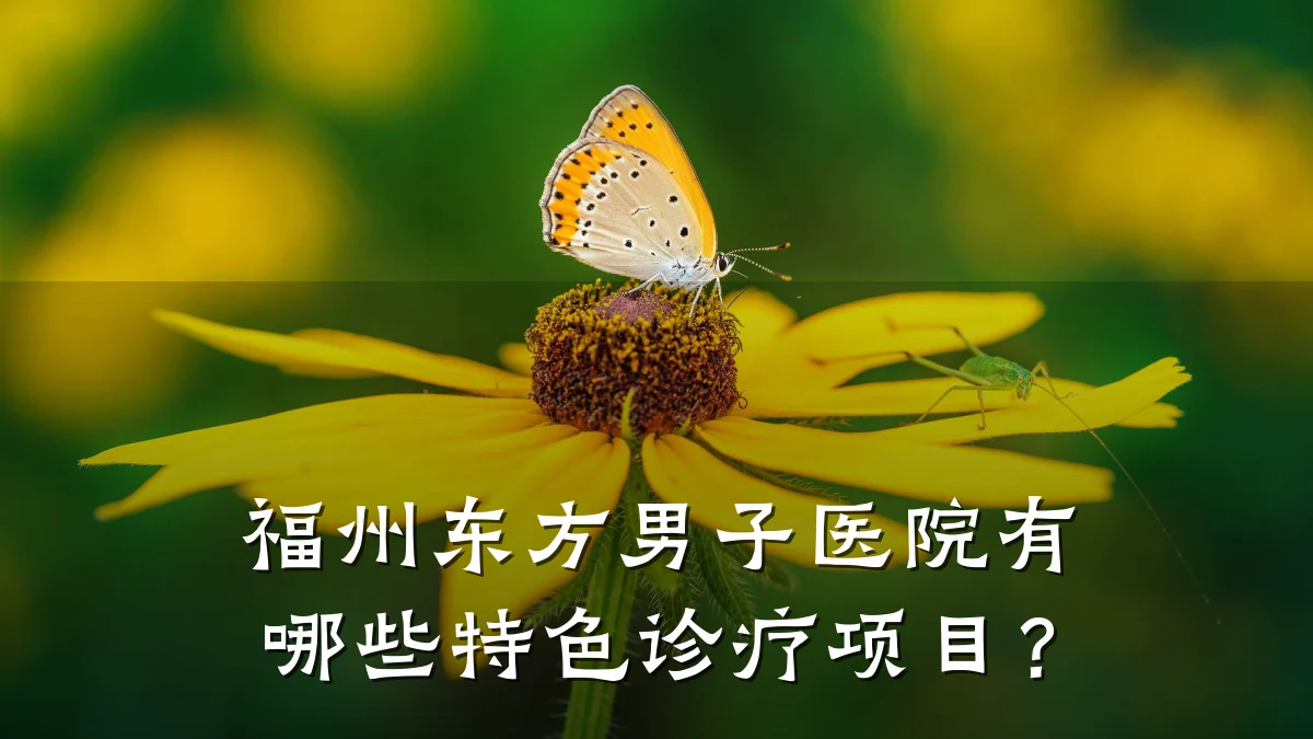 福州东方男子医院有哪些特色诊疗项目?