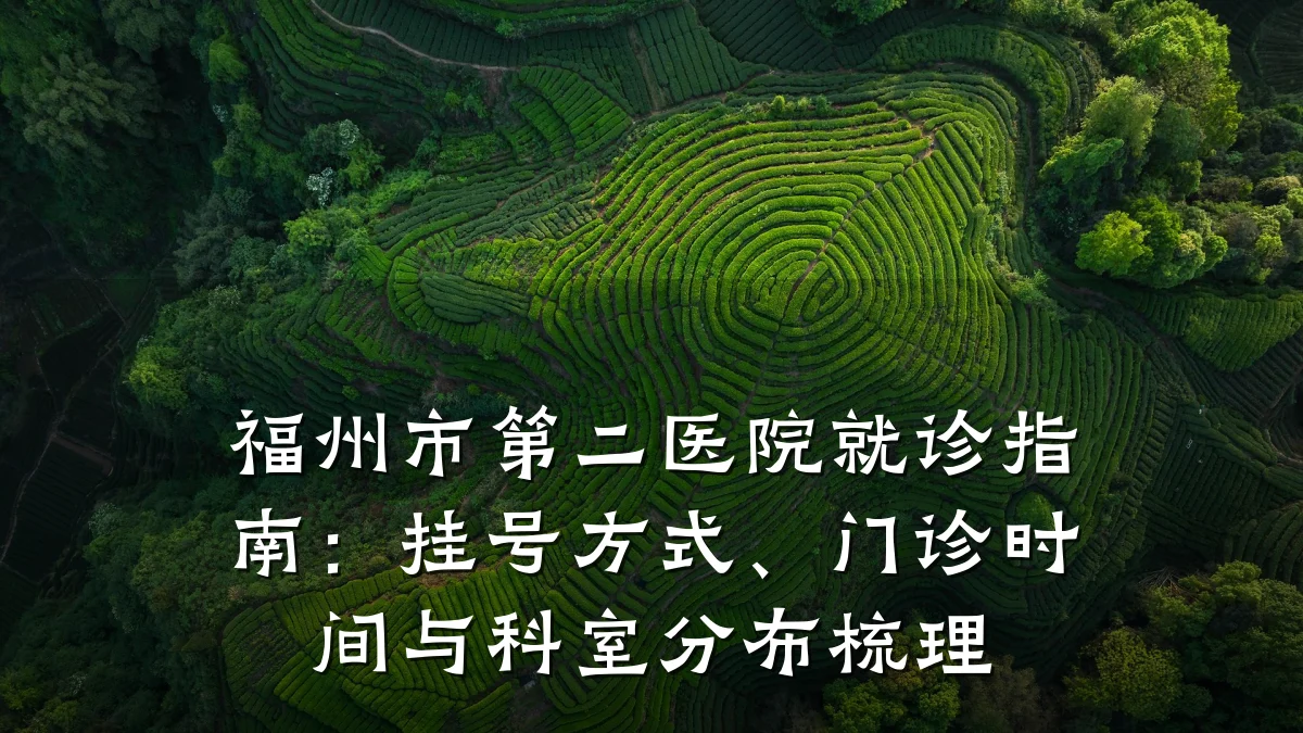 福州市第二医院就诊指南:挂号方式、门诊时间与科室分布梳理