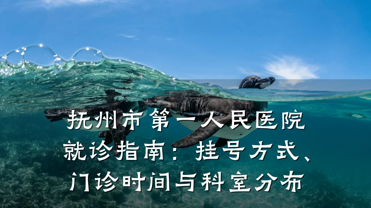 抚州市第一人民医院就诊指南:挂号方式、门诊时间与科室分布