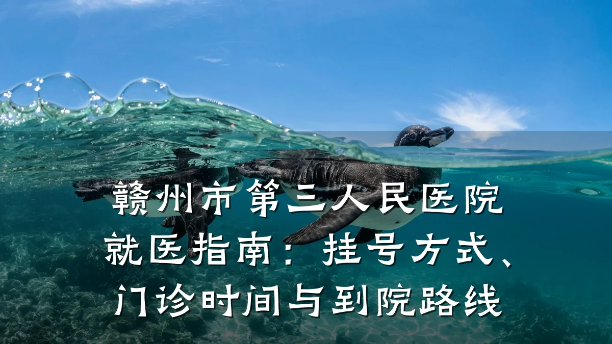 赣州市第三人民医院就医指南:挂号方式、门诊时间与到院路线