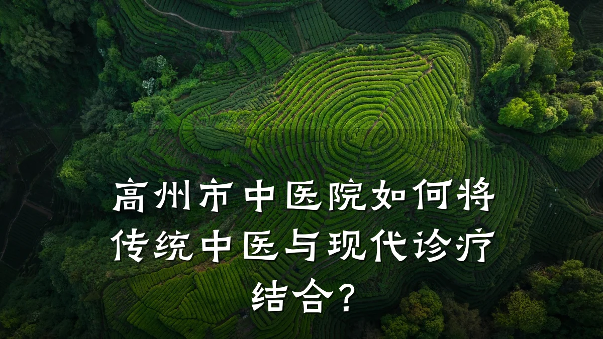 高州市中医院如何将传统中医与现代诊疗结合?