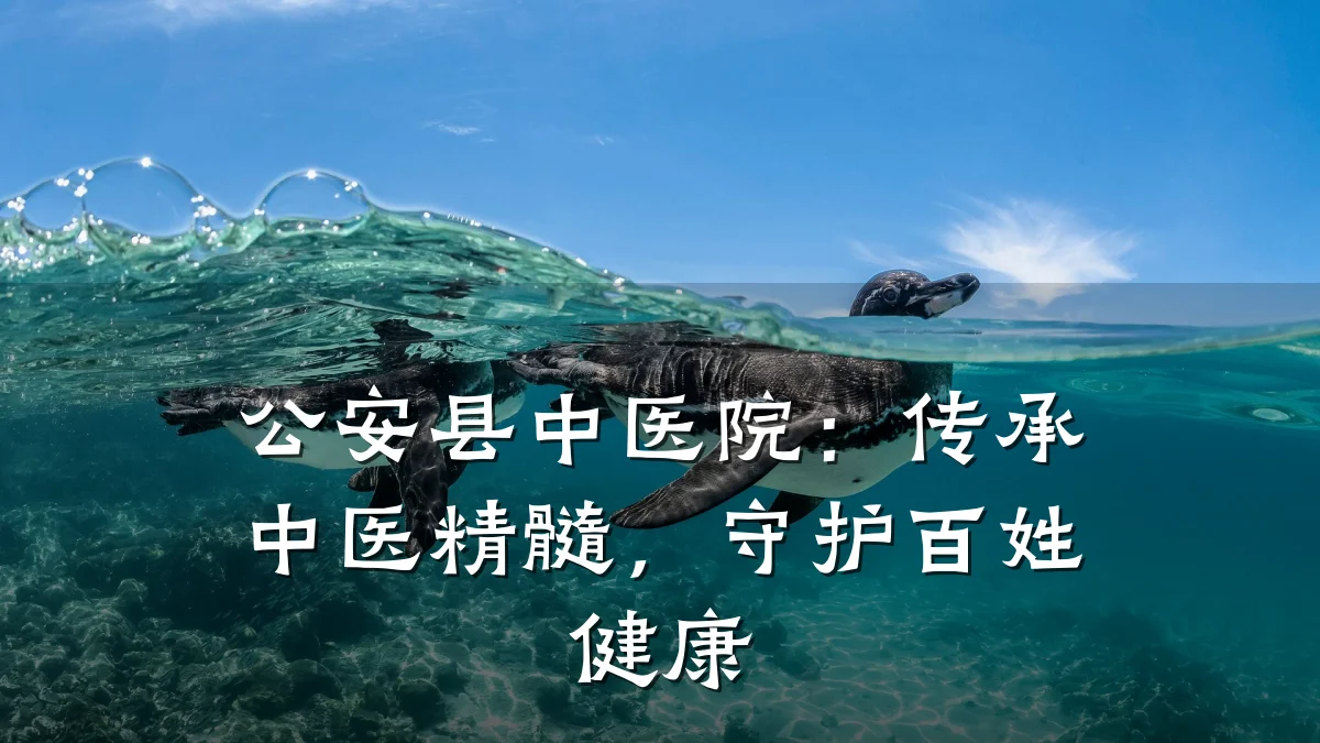 公安县中医院:传承中医精髓,守护百姓健康