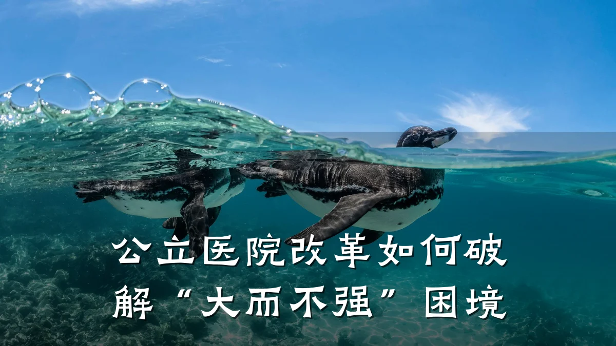 公立医院改革如何破解“大而不强”困境