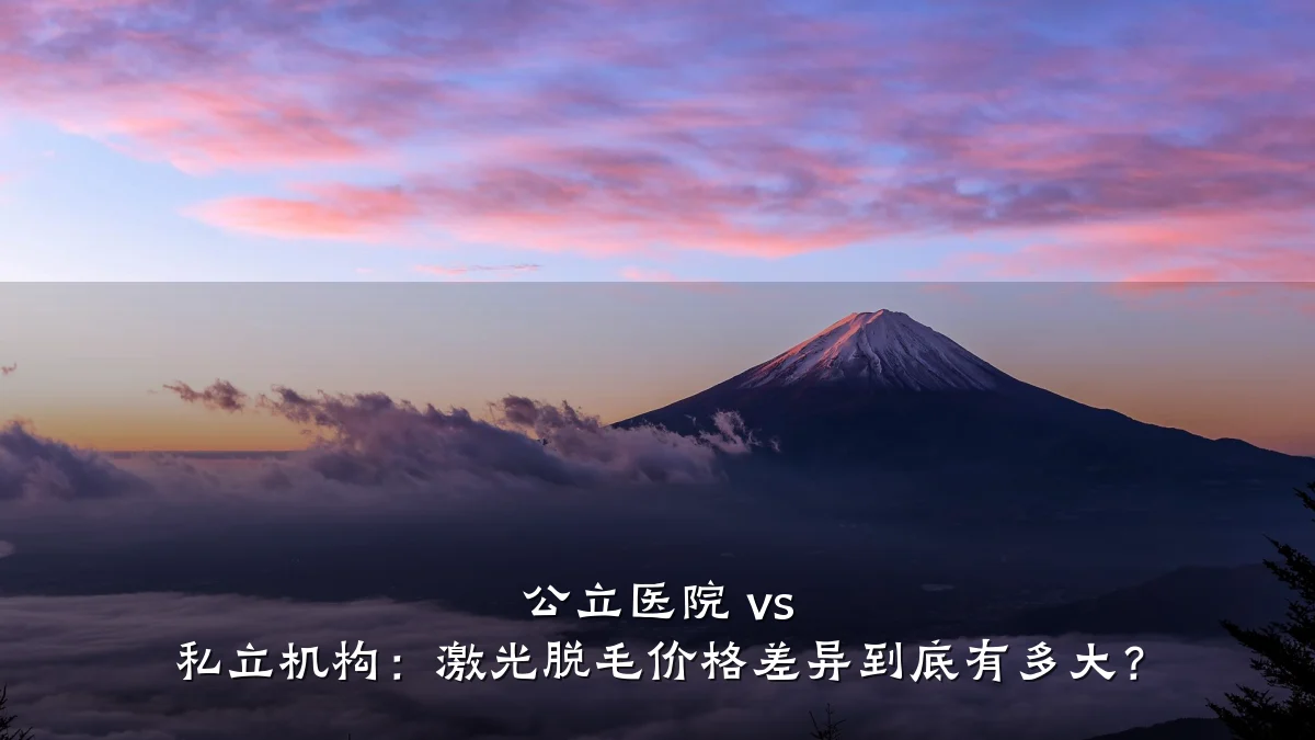 公立医院 vs 私立机构:激光脱毛价格差异到底有多大?
