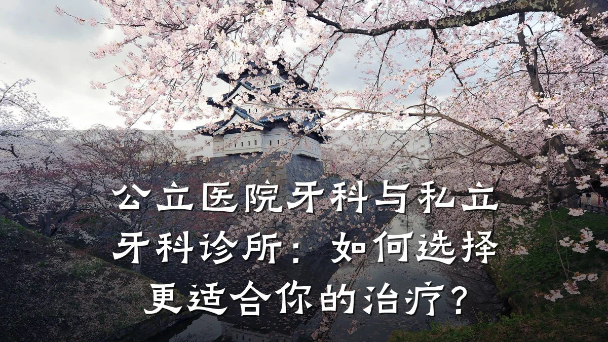 公立医院牙科与私立牙科诊所:如何选择更适合你的治疗?
