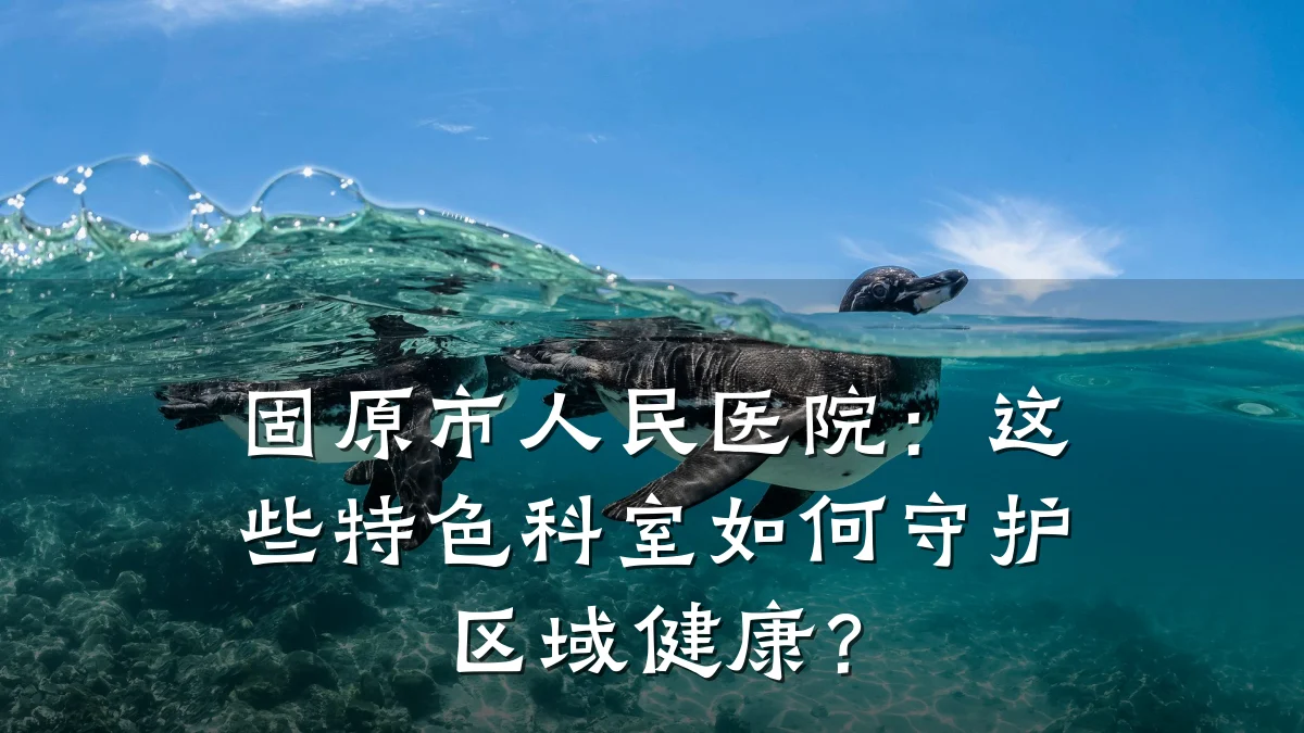 固原市人民医院:这些特色科室如何守护区域健康?