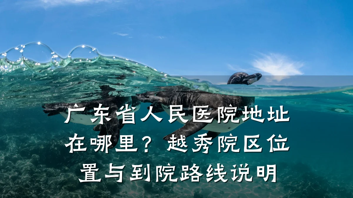 广东省人民医院地址在哪里?越秀院区位置与到院路线说明