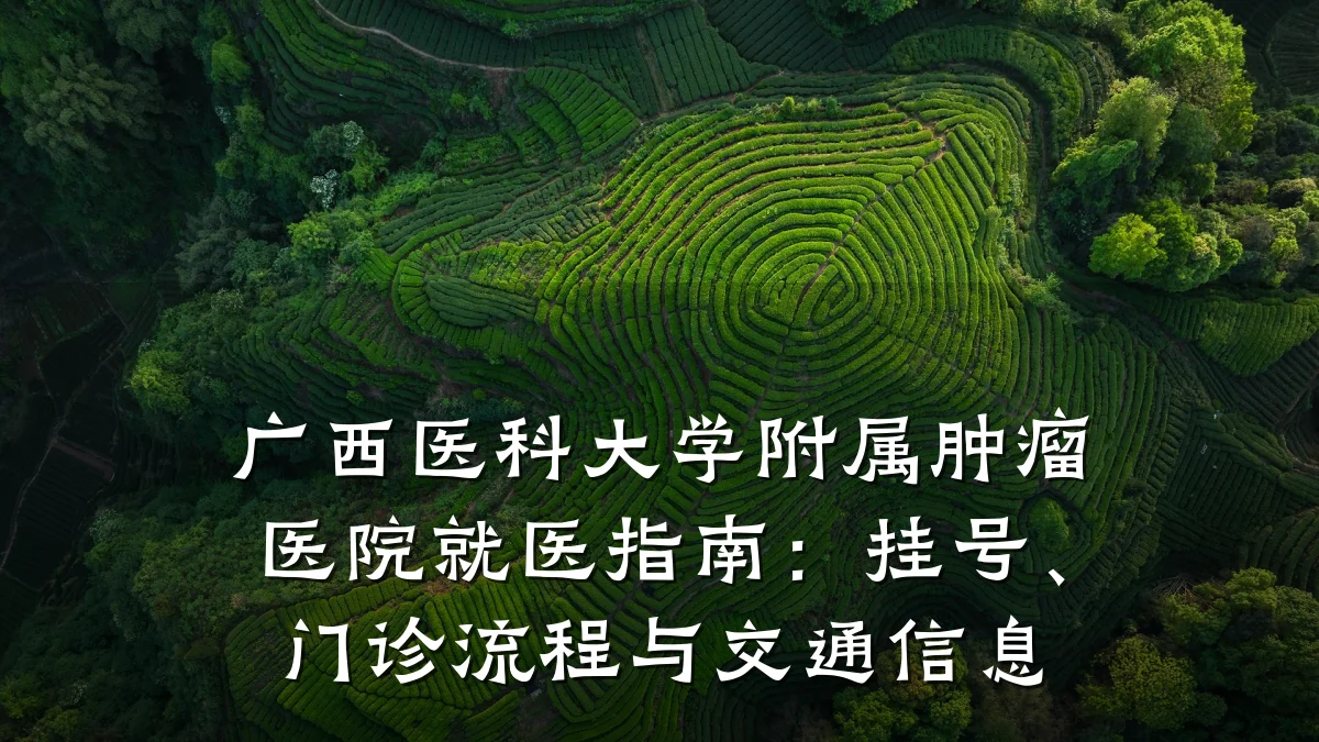 广西医科大学附属肿瘤医院就医指南:挂号、门诊流程与交通信息