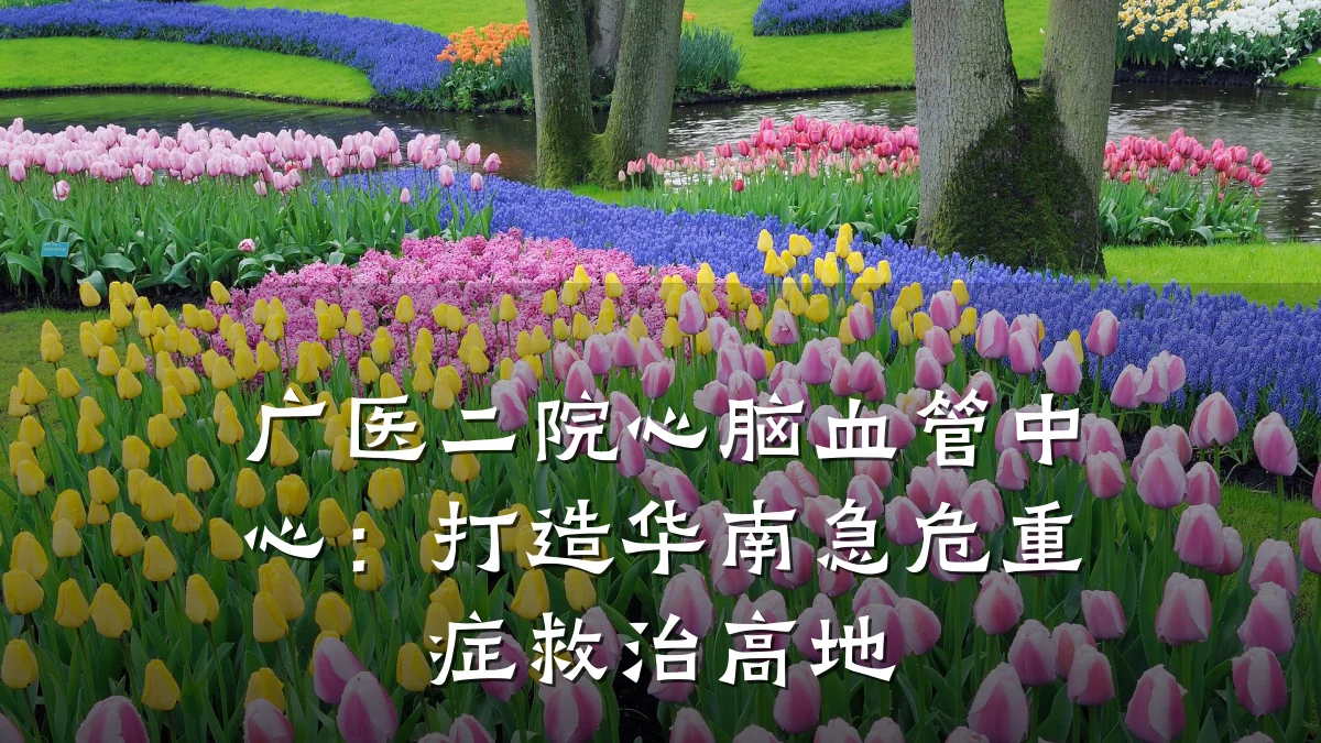 广医二院心脑血管中心:打造华南急危重症救治高地
