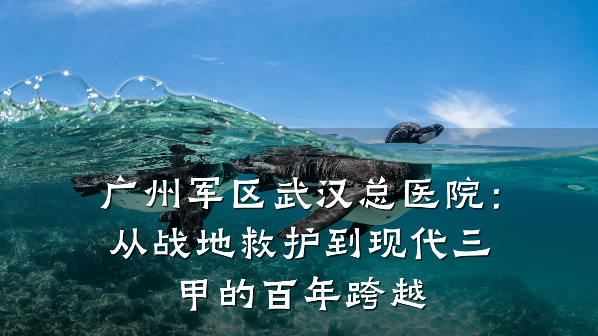 广州军区武汉总医院:从战地救护到现代三甲的百年跨越