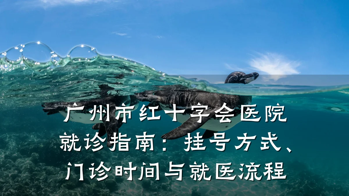 广州市红十字会医院就诊指南:挂号方式、门诊时间与就医流程