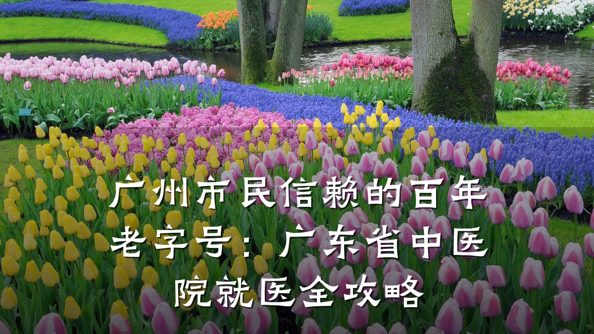 广州市民信赖的百年老字号：广东省中医院就医全攻略