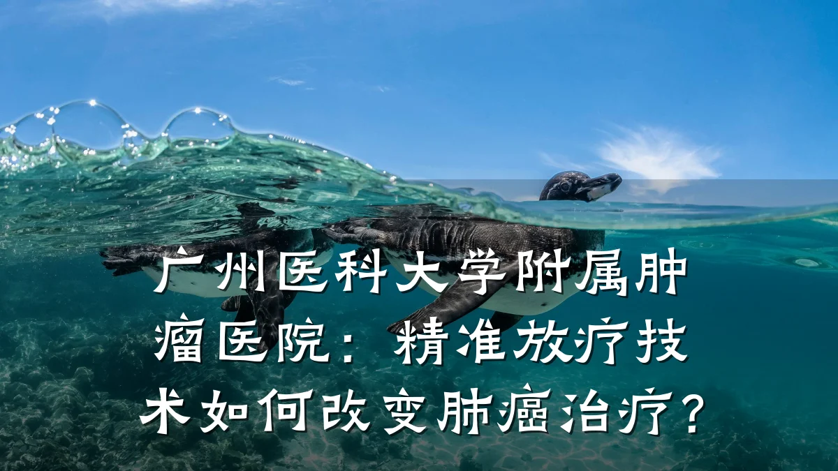 广州医科大学附属肿瘤医院:精准放疗技术如何改变肺癌治疗?