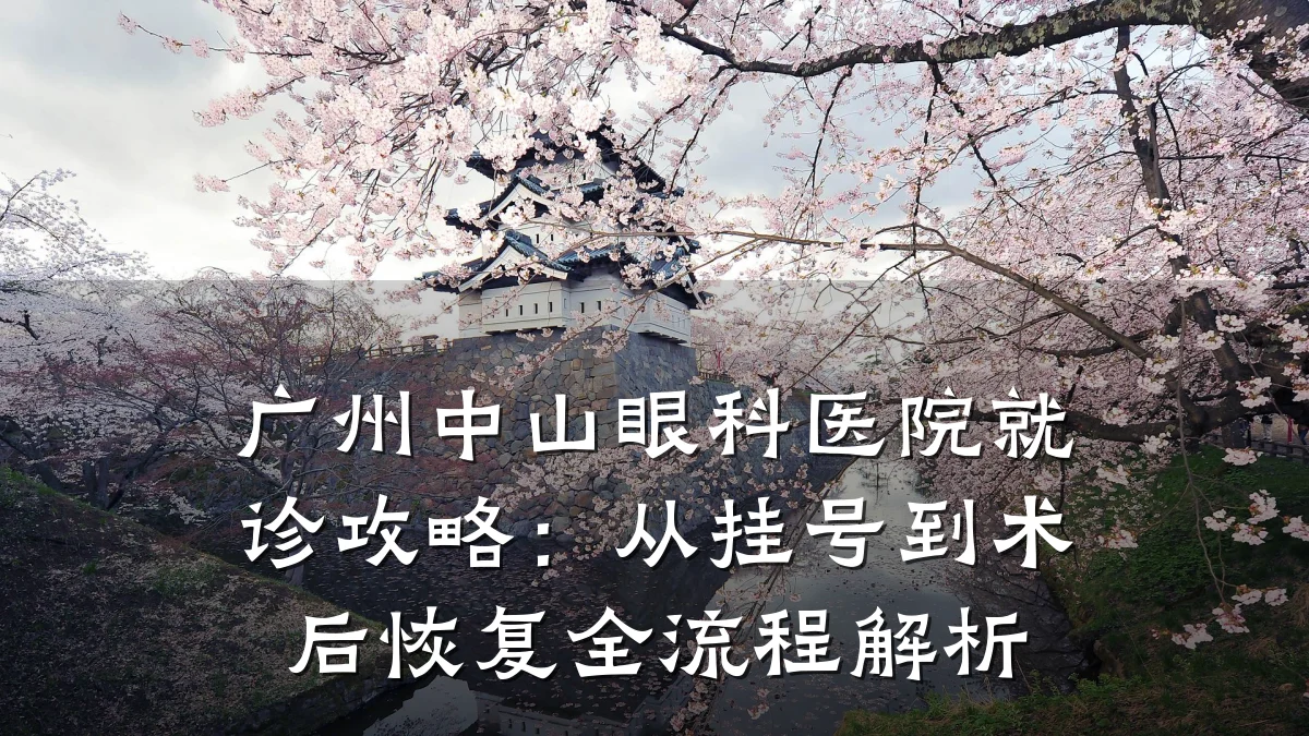 广州中山眼科医院就诊攻略:从挂号到术后恢复全流程解析