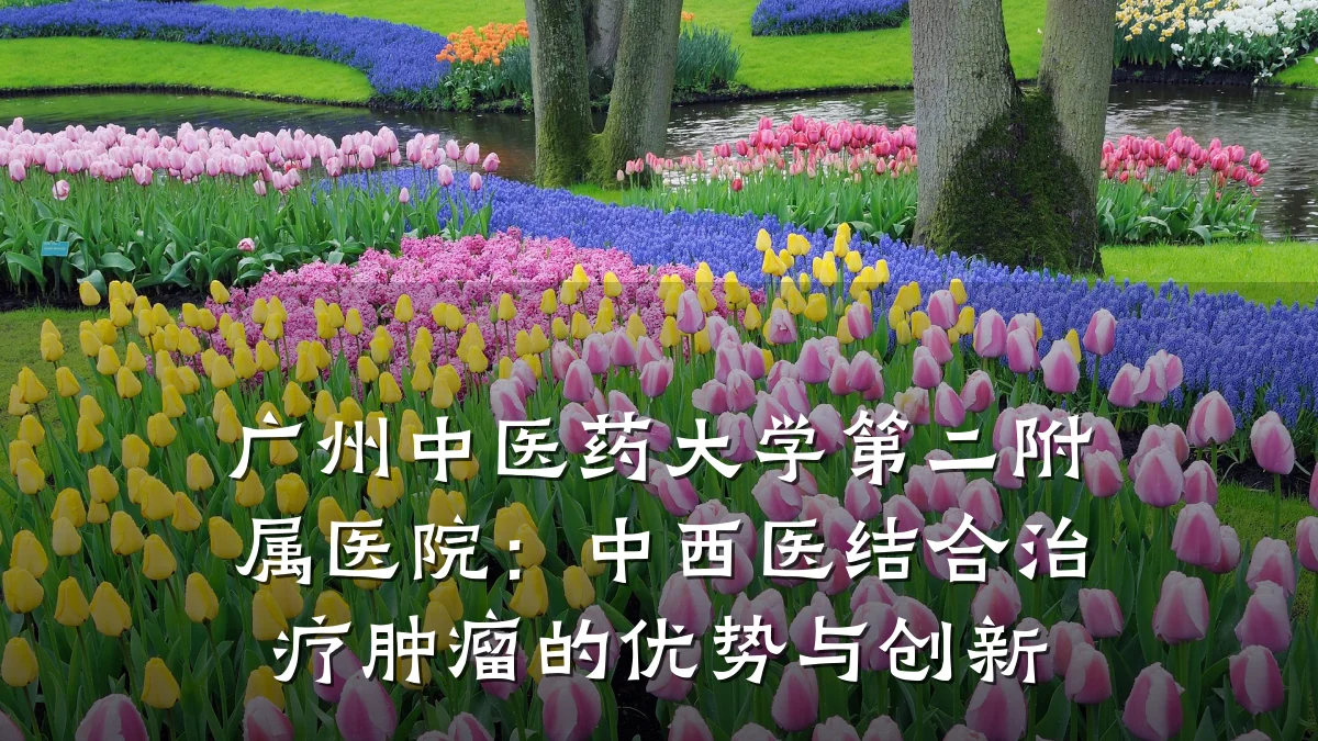 广州中医药大学第二附属医院:中西医结合治疗肿瘤的优势与创新