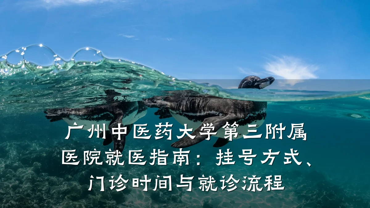 广州中医药大学第三附属医院就医指南:挂号方式、门诊时间与就诊流程