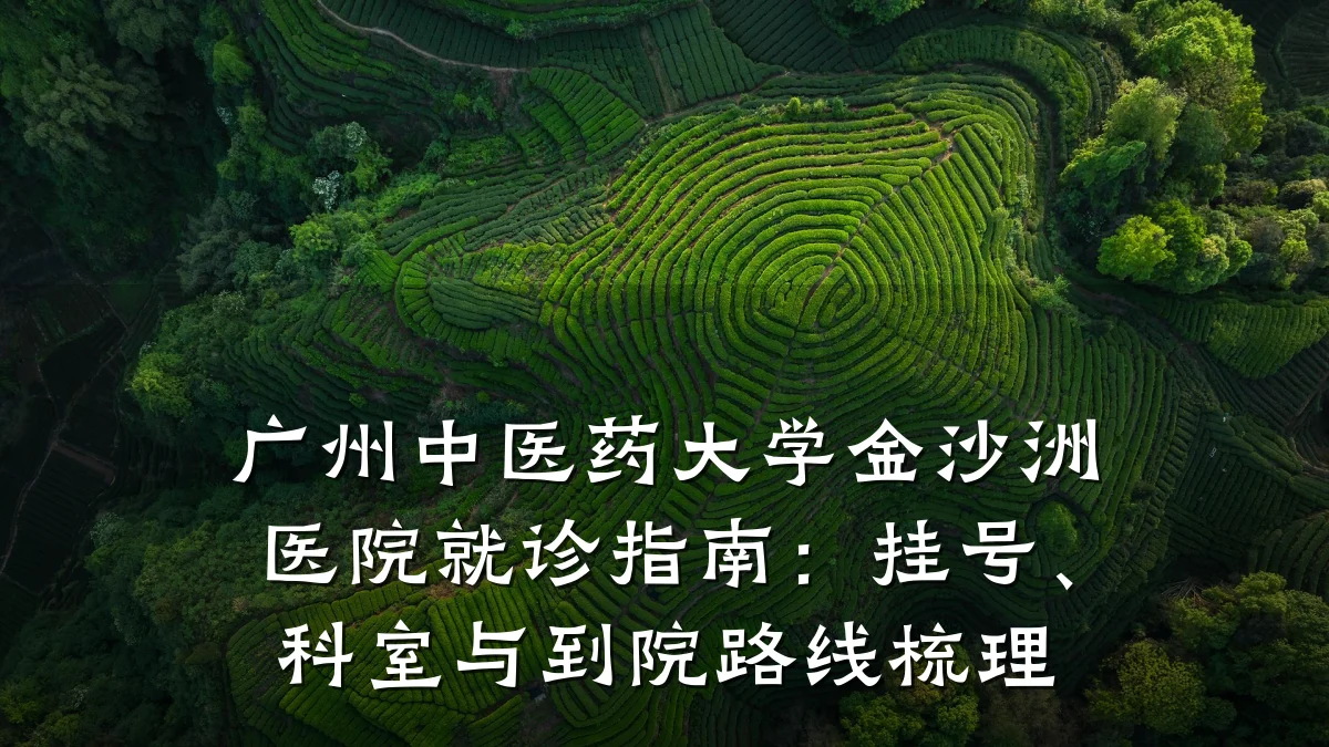 广州中医药大学金沙洲医院就诊指南:挂号、科室与到院路线梳理