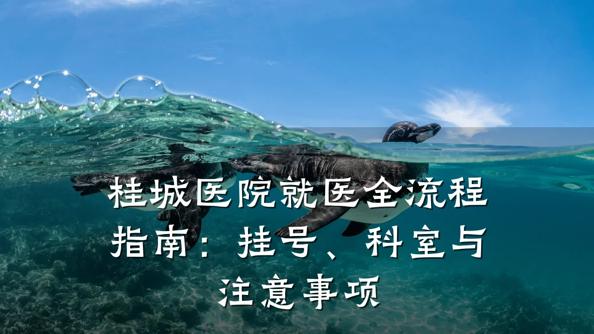 桂城医院就医全流程指南:挂号、科室与注意事项