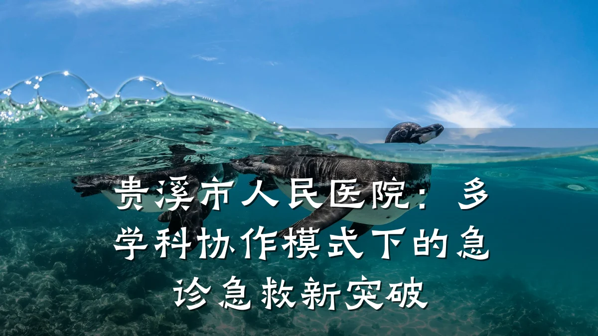 贵溪市人民医院:多学科协作模式下的急诊急救新突破