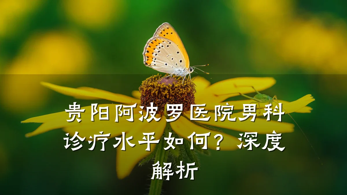 贵阳阿波罗医院男科诊疗水平如何?深度解析