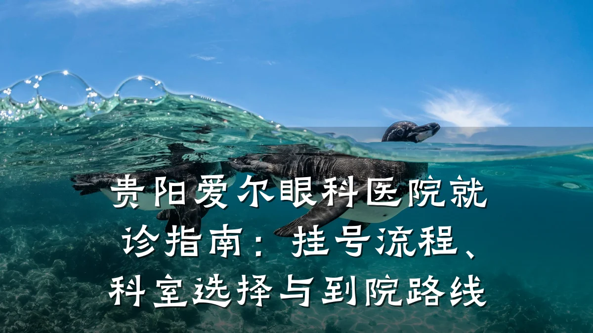贵阳爱尔眼科医院就诊指南:挂号流程、科室选择与到院路线