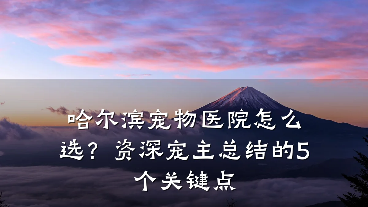 哈尔滨宠物医院怎么选?资深宠主总结的5个关键点