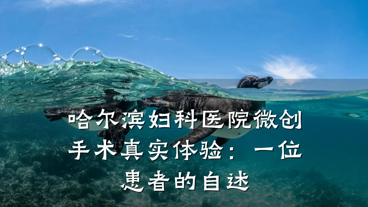 哈尔滨妇科医院微创手术真实体验:一位患者的自述