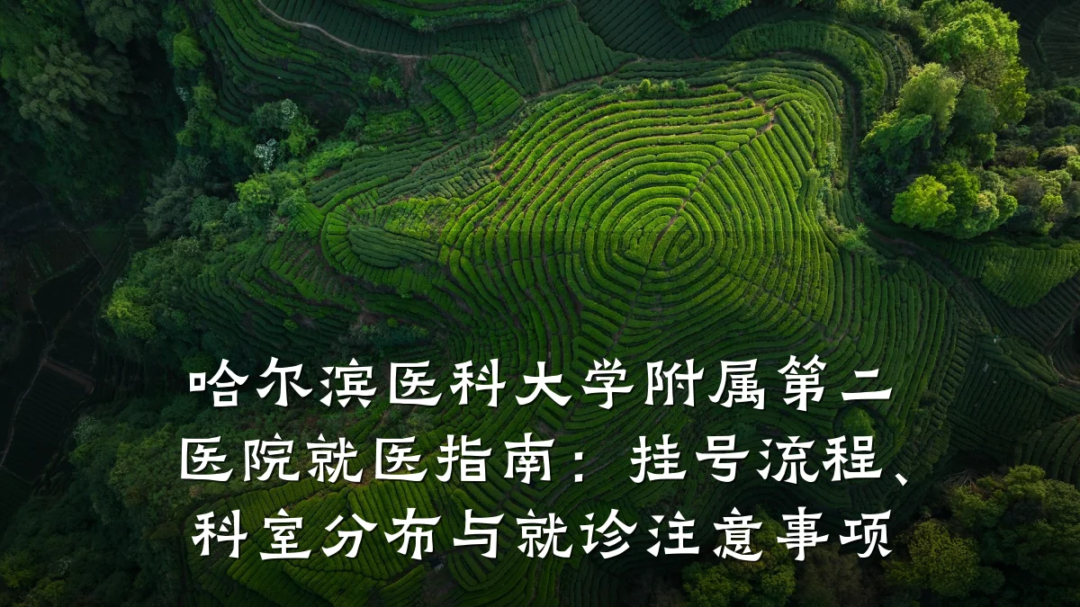 哈尔滨医科大学附属第二医院就医指南:挂号流程、科室分布与就诊注意事项