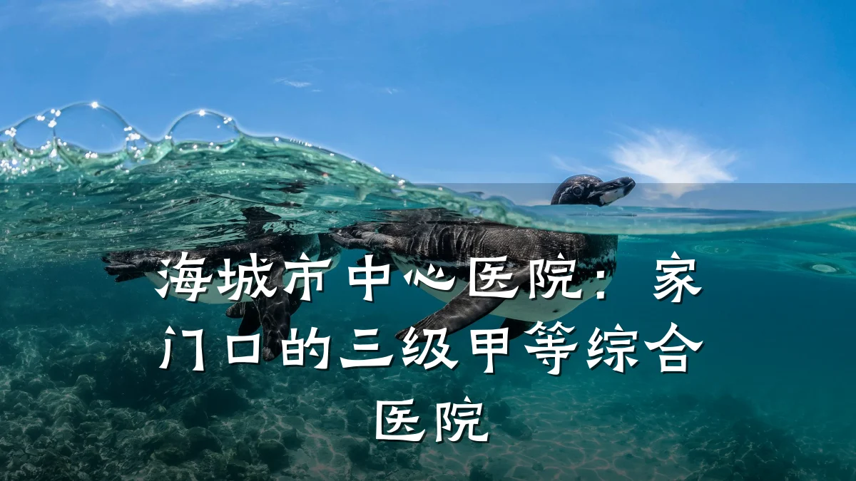 海城市中心医院:家门口的三级甲等综合医院