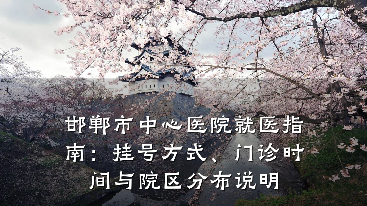 邯郸市中心医院就医指南:挂号方式、门诊时间与院区分布说明