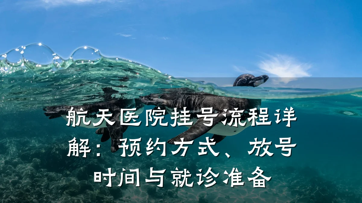 航天医院挂号流程详解:预约方式、放号时间与就诊准备