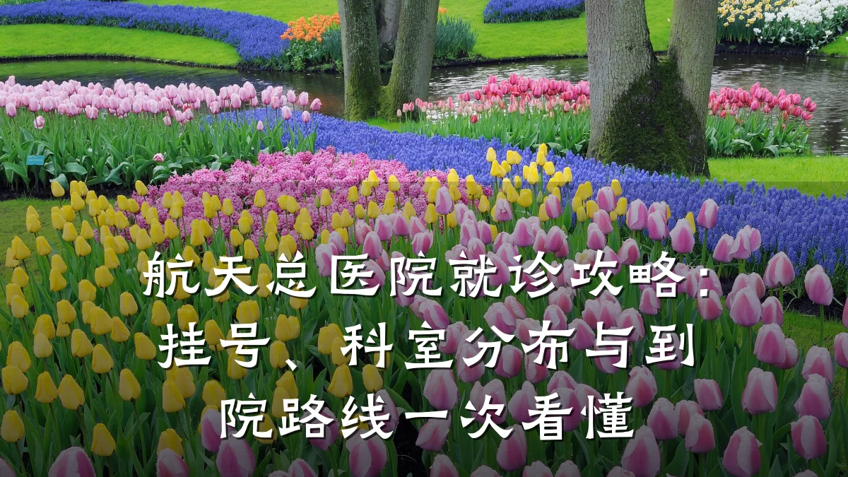 航天总医院就诊攻略:挂号、科室分布与到院路线一次看懂