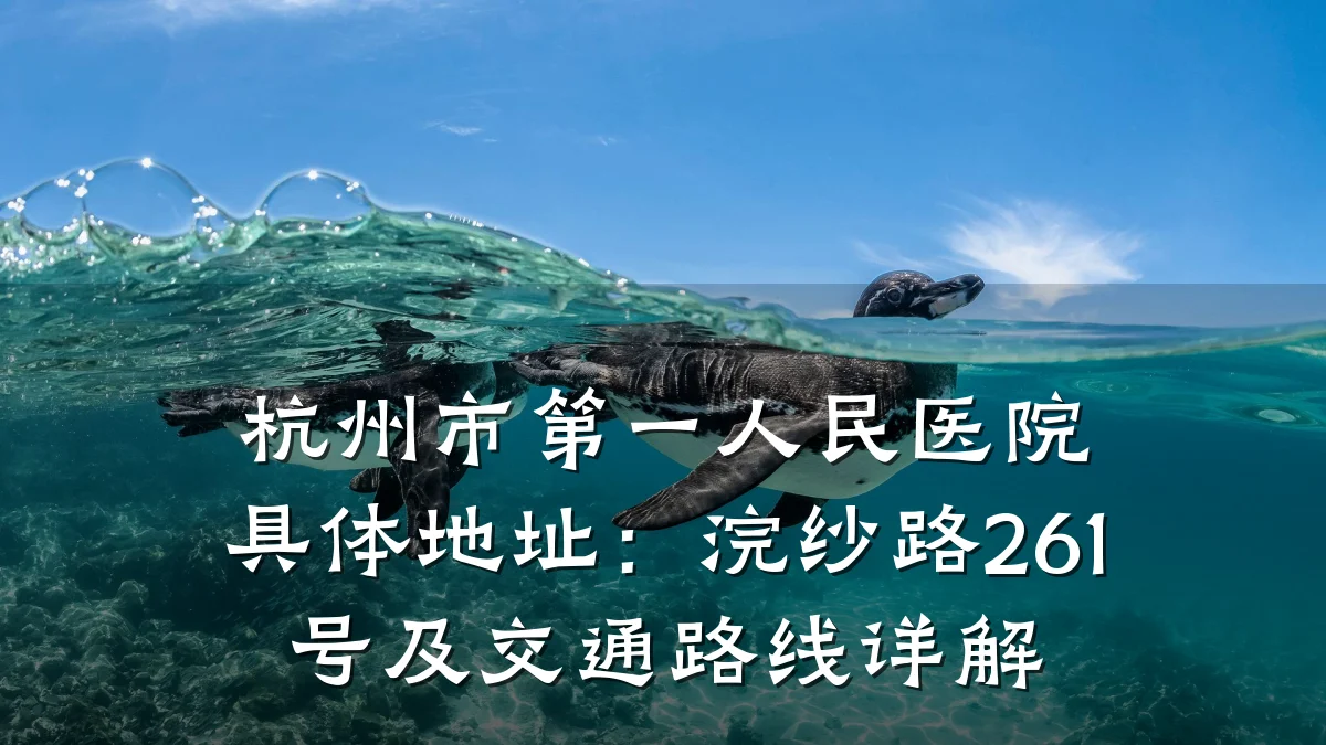 杭州市第一人民医院具体地址:浣纱路261号及交通路线详解