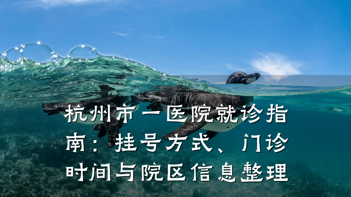 杭州市一医院就诊指南:挂号方式、门诊时间与院区信息整理